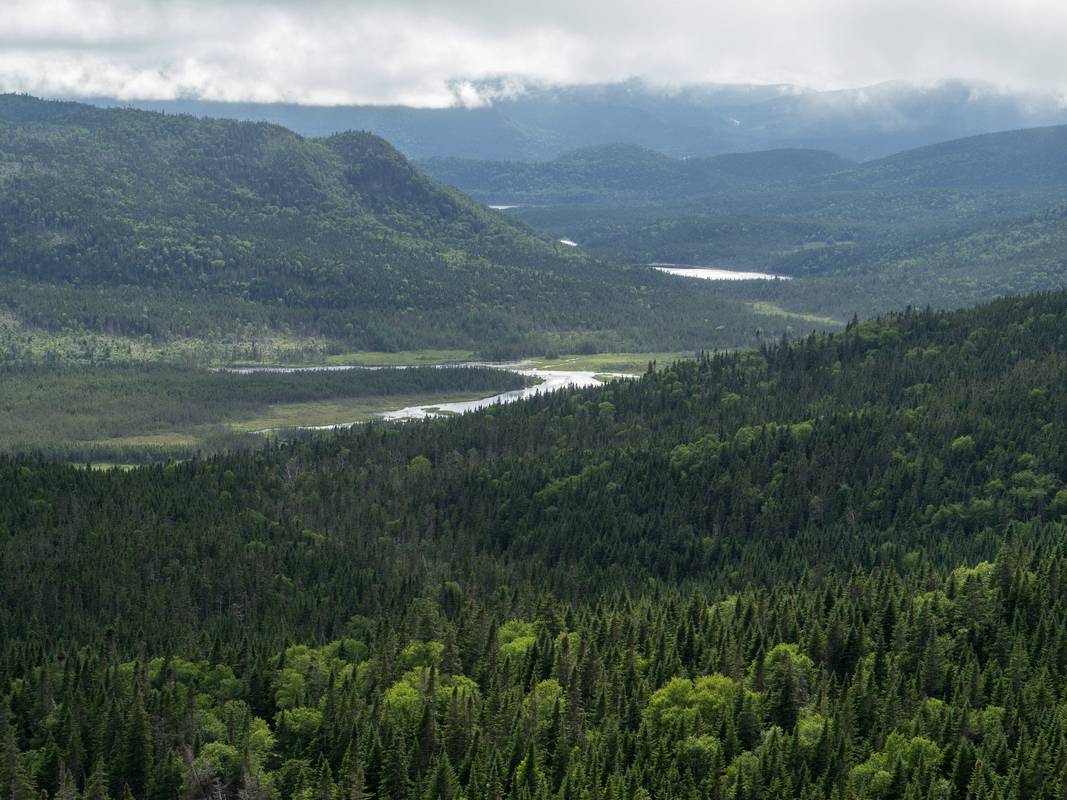 Somewhere along Rt. 431 on way back to Rocky Harbour.<br />July 7, 2012 - Gros Morne National Park, Newfoundland, Canada.