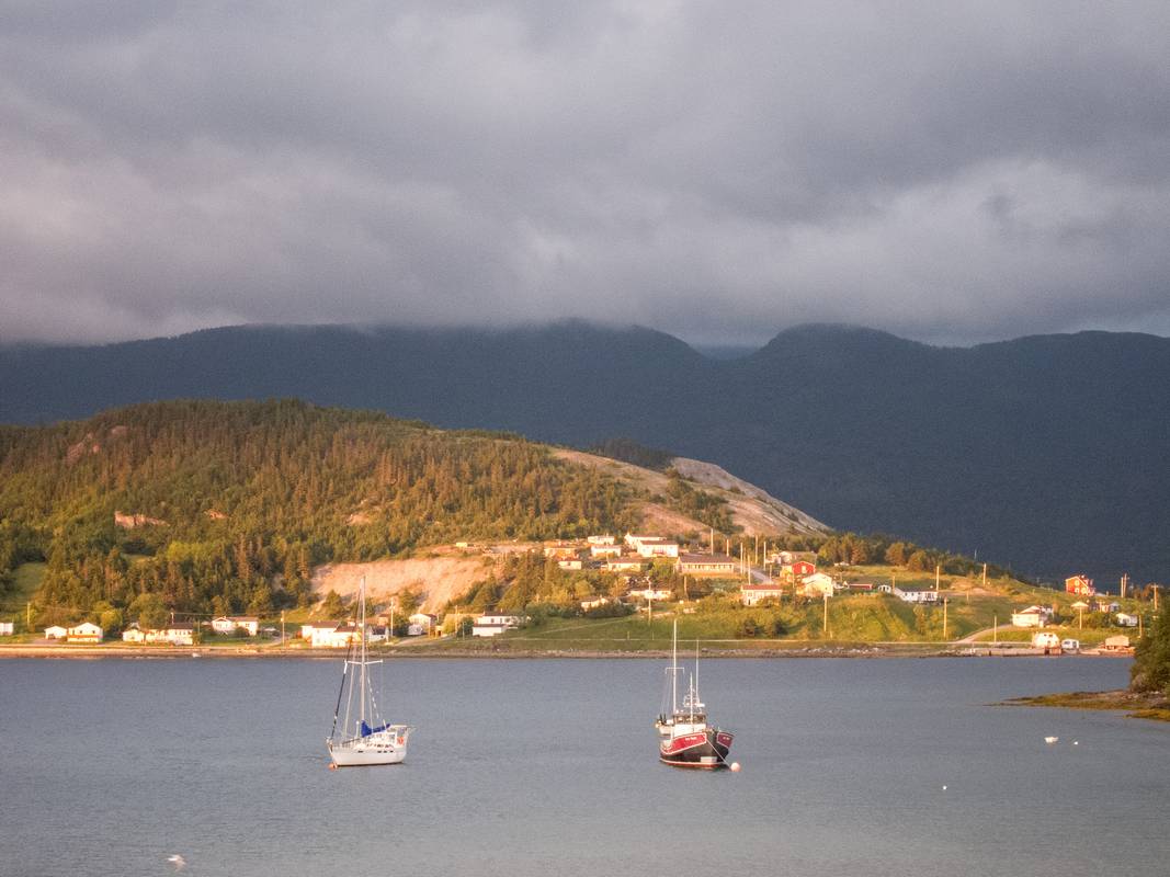 July 7, 2012 - Somewhere between Norris Point and Rocky Harbour, Newfoundland, Canada.