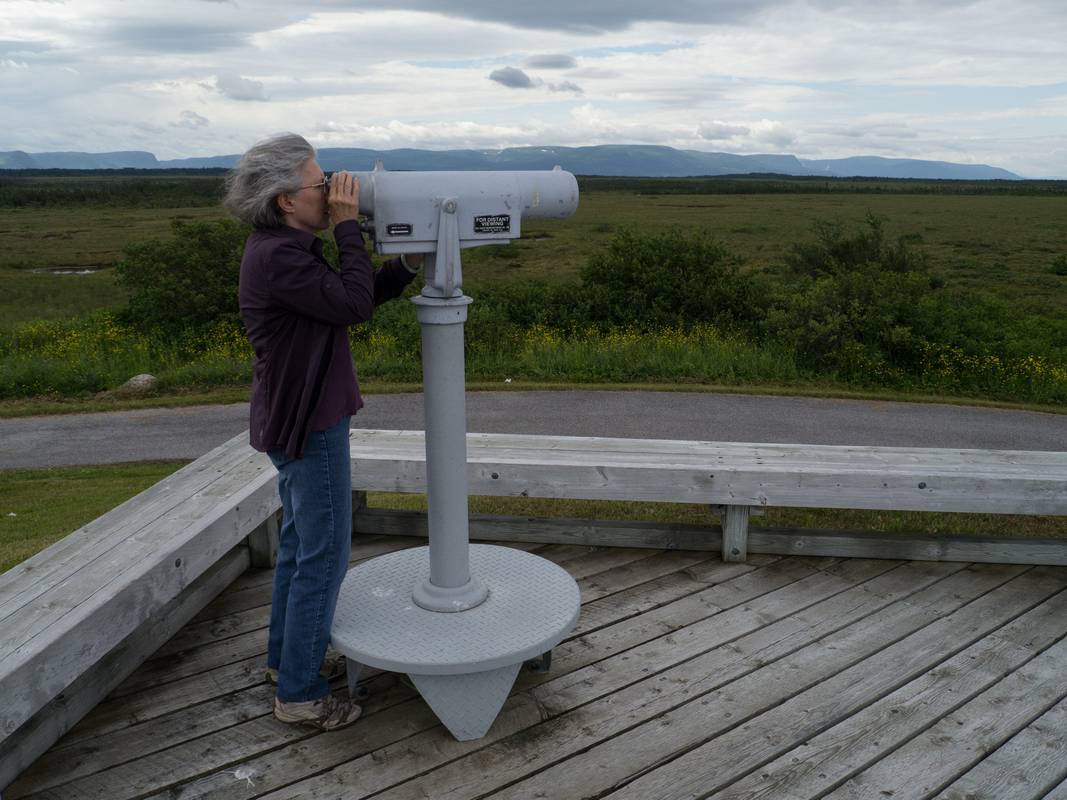 Joyce.<br />July 8, 2012 - Pullout along Rt. 430 just north of Cow Head, Newfoundland, Canada.