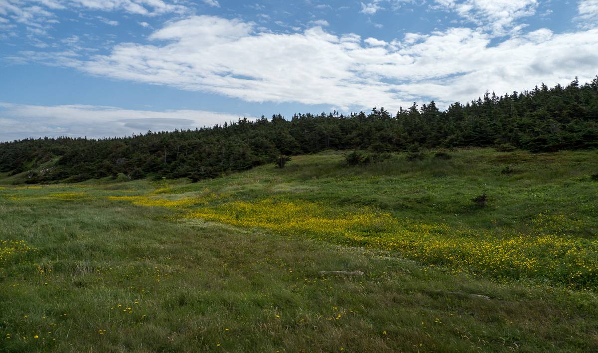 July 8, 2012 -The Arches Provincial Park, Portland Creek, Newfoundland, Canada