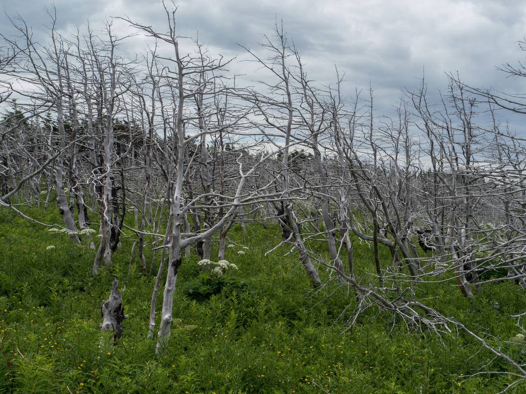 July 8, 2012 -The Arches Provincial Park, Portland Creek, Newfoundland, Canada