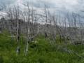 July 8, 2012 -The Arches Provincial Park, Portland Creek, Newfoundland, Canada