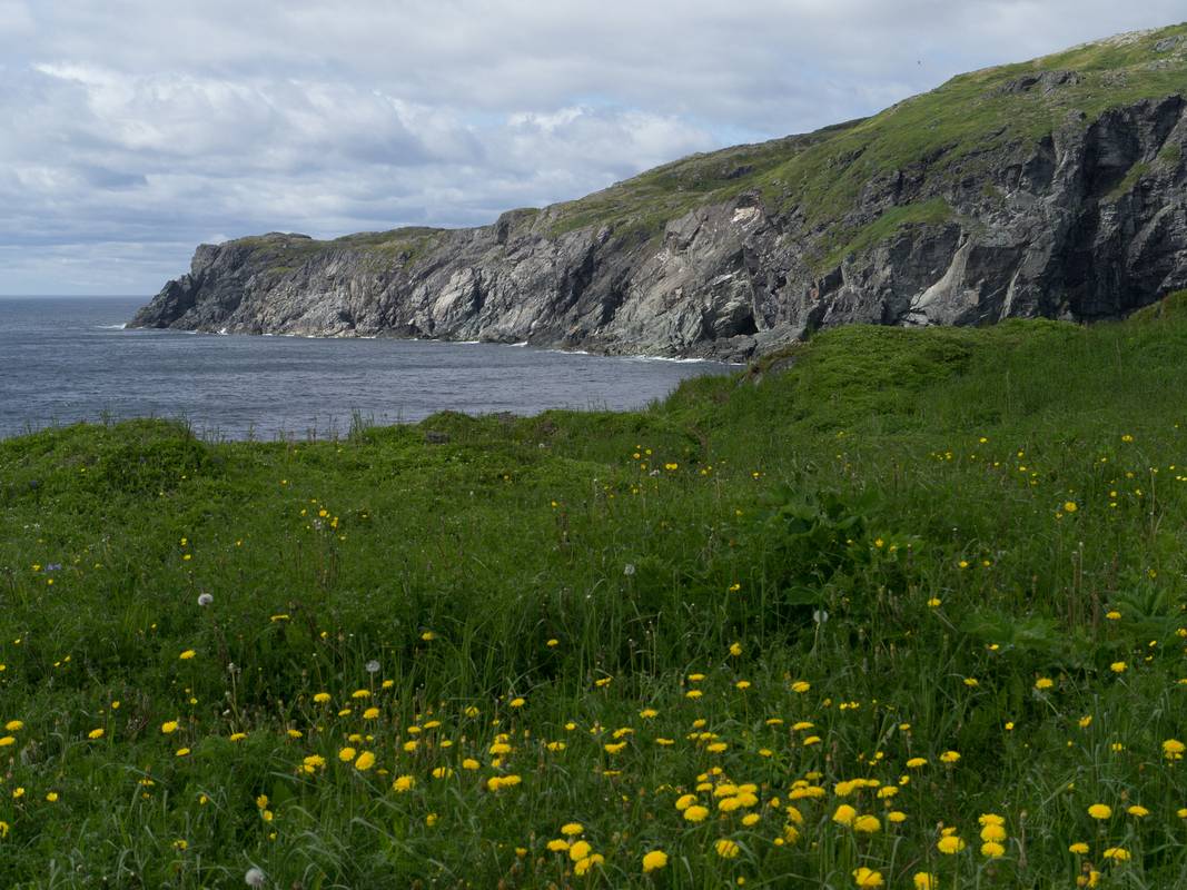 View from lighthouse point.<br />July 10, 2012 - St. Anthony, Newfoundland, Canada.