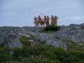 July 11, 2012 - L'Anse aux Meadows National Historic Site, Newfoundland, Canada.
