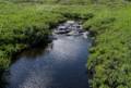 The brook that runs by the settlement.<br />July 11, 2012 - L'Anse aux Meadows National Historic Site, Newfoundland, Canada.