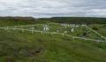 July 11, 2012 - Cape Onion, Newfoundland, Canada.