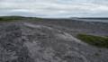 July 11, 2012 - Burnt Cape Ecological Reserve, Newfoundland, Canada.