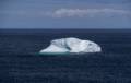 We came here to see this little iceberg.<br />July 11, 2012 - Great Brehat, Newfoundland, Canada.