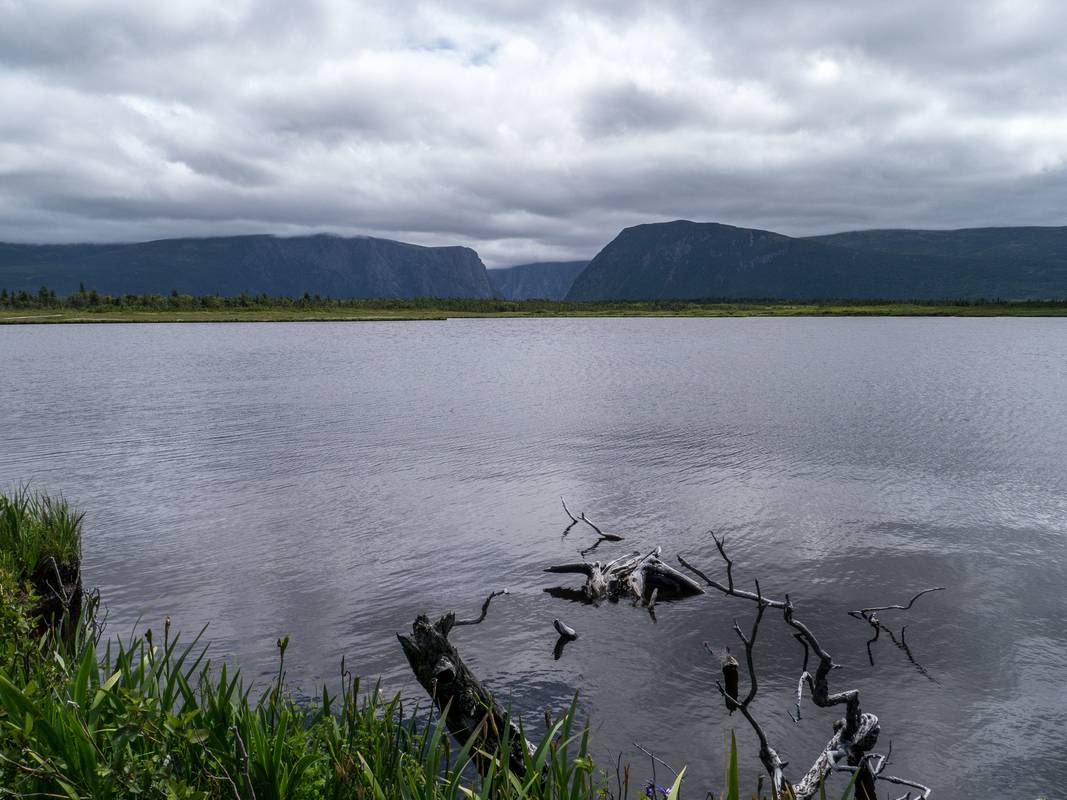July 13, 2012 - Western Brook Pond area, Gros Morne National Park, Newfoundland, Canada.