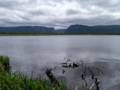 July 13, 2012 - Western Brook Pond area, Gros Morne National Park, Newfoundland, Canada.