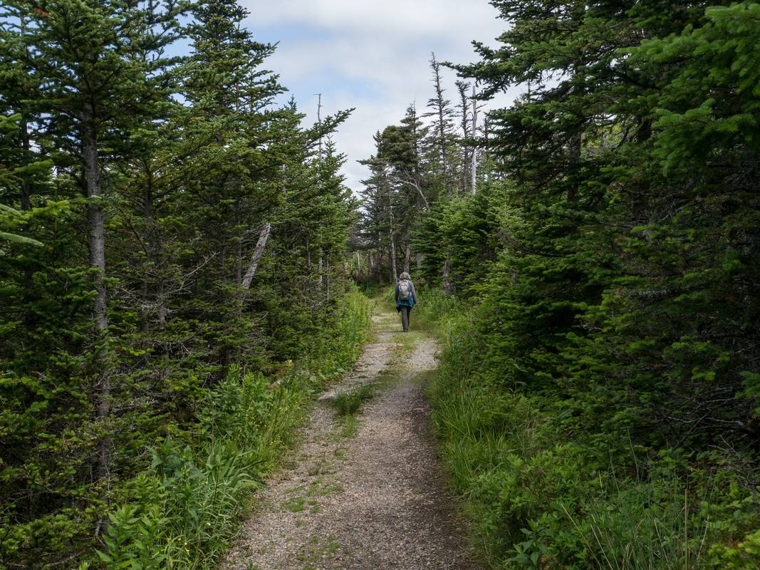 Joyce on trail to Western Brook, the outlet of the Pond.<br />July 13, 2012 - Western Brook Pond area, Gros Morne National Park, Newfoundland, Canada.