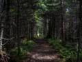 July 13, 2012 - Western Brook Pond area, Gros Morne National Park, Newfoundland, Canada.