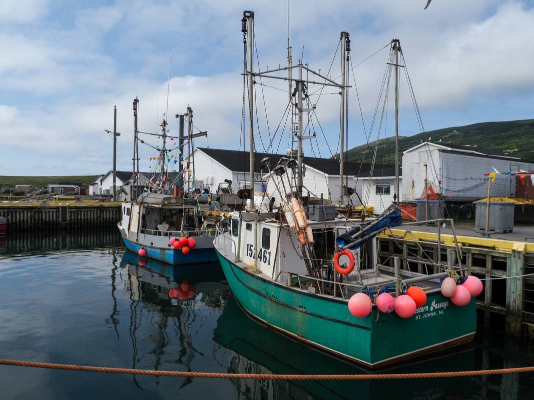 July 15, 2012 - Codroy, Newfoundland, Canada.