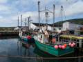 July 15, 2012 - Codroy, Newfoundland, Canada.