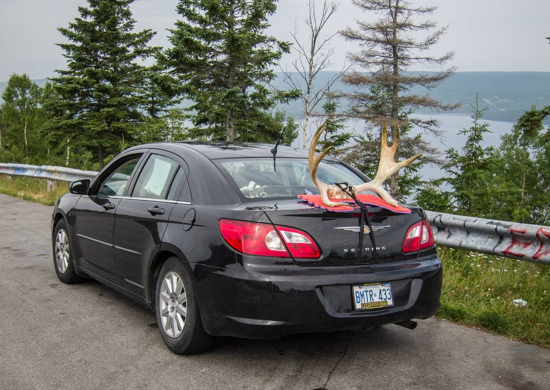 The driver of this car bagged a moose with it..<br />July 17, 2012 - On Rt. 105 somewhere between North Sydnay and Badek, Nova Scotia, Canada.