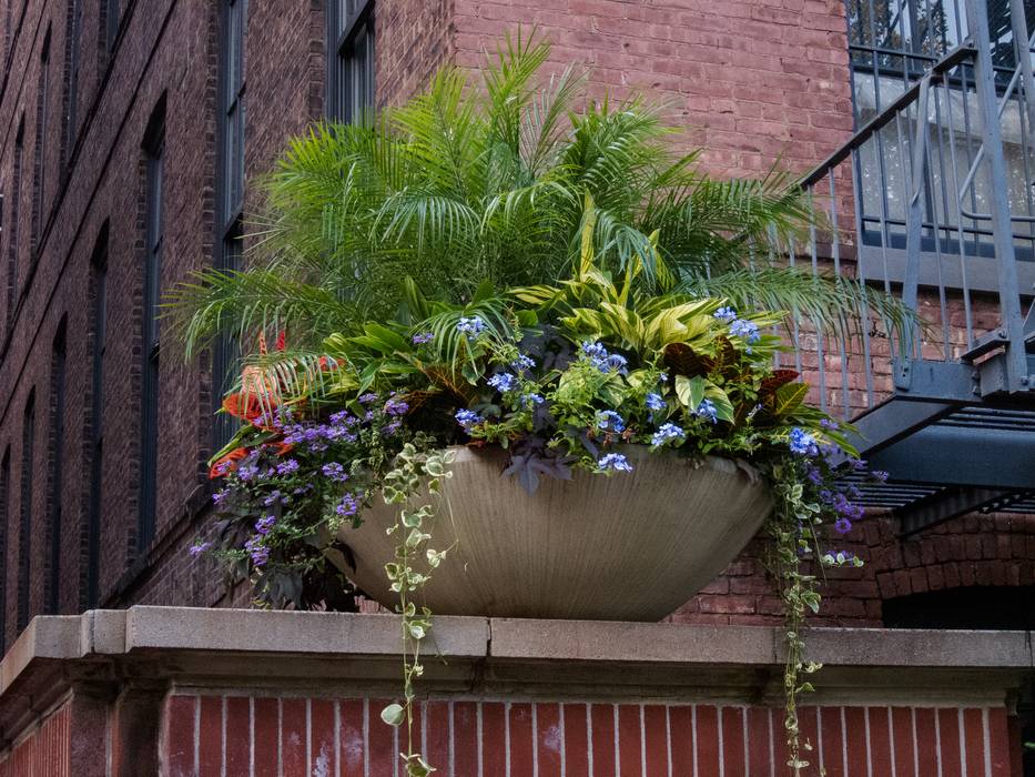 August 2, 2012 - Pratt Institute, Brooklyn, New York.