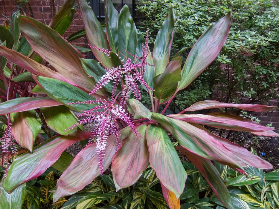 August 2, 2012 - Pratt Institute, Brooklyn, New York.