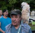 Antique auto show at Skips.<br />August 25, 2012 - Merrimac, Massachusetts.