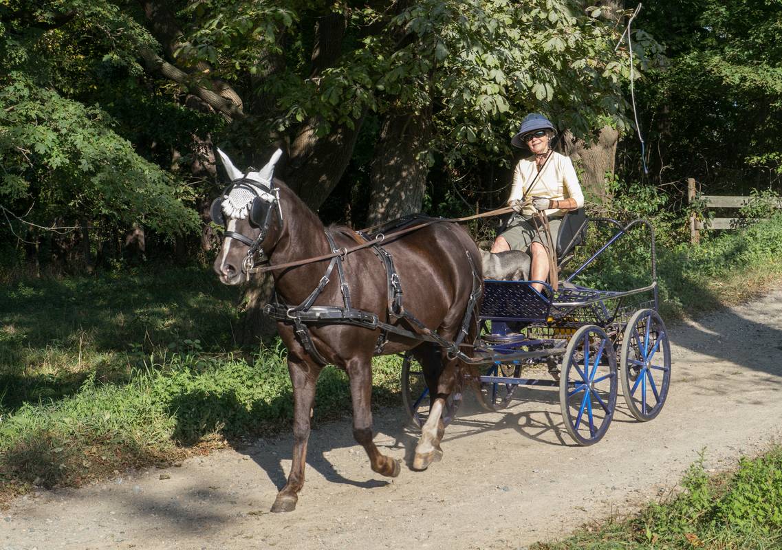 Sept. 17, 2012 - Appleton Farms, Ipswich, Massachusetts.