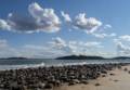 View towards Cranes Beach in Ipswich.<br />Sept. 24, 2012 - Sandy Point State Reservation, Plum Island, Massahusetts.