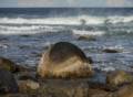 The rock.<br />Sept. 24, 2012 - Sandy Point State Reservation, Plum Island, Massahusetts.