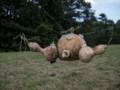 Chuck and Morgan Mead: 'The Gordo Krell IQ Machine'<br />Outdoor Sculpture at Maudslay.<br />Sept. 8, 2012 - Maudslay State Park, Newburyport, Massachusetts.