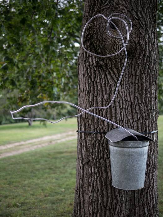 Christina Verrette: 'Maple's Milk'.<br />Outdoor Sculpture at Maudslay.<br />Sept. 8, 2012 - Maudslay State Park, Newburyport, Massachusetts.