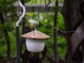 Birdhouse in our back yard.<br />Test shot with new Panasonic 100-300 mm lens.<br />October 2, 2012 - Merrimac, Massachusetts.