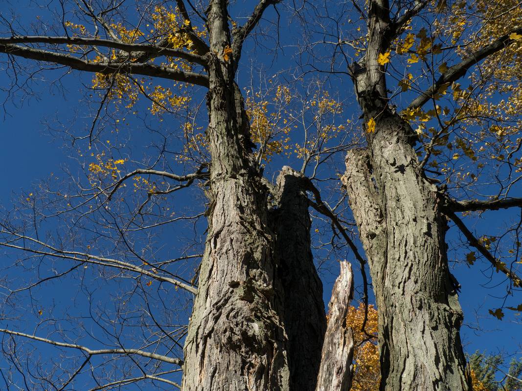 Oct. 16, 2012 - Oak Hill Cemetery, Newburyport, Massachusetts.