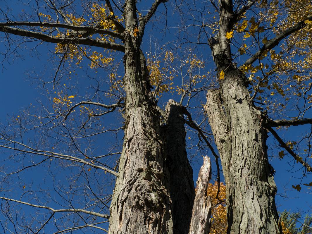 Oct. 16, 2012 - Oak Hill Cemetery, Newburyport, Massachusetts.