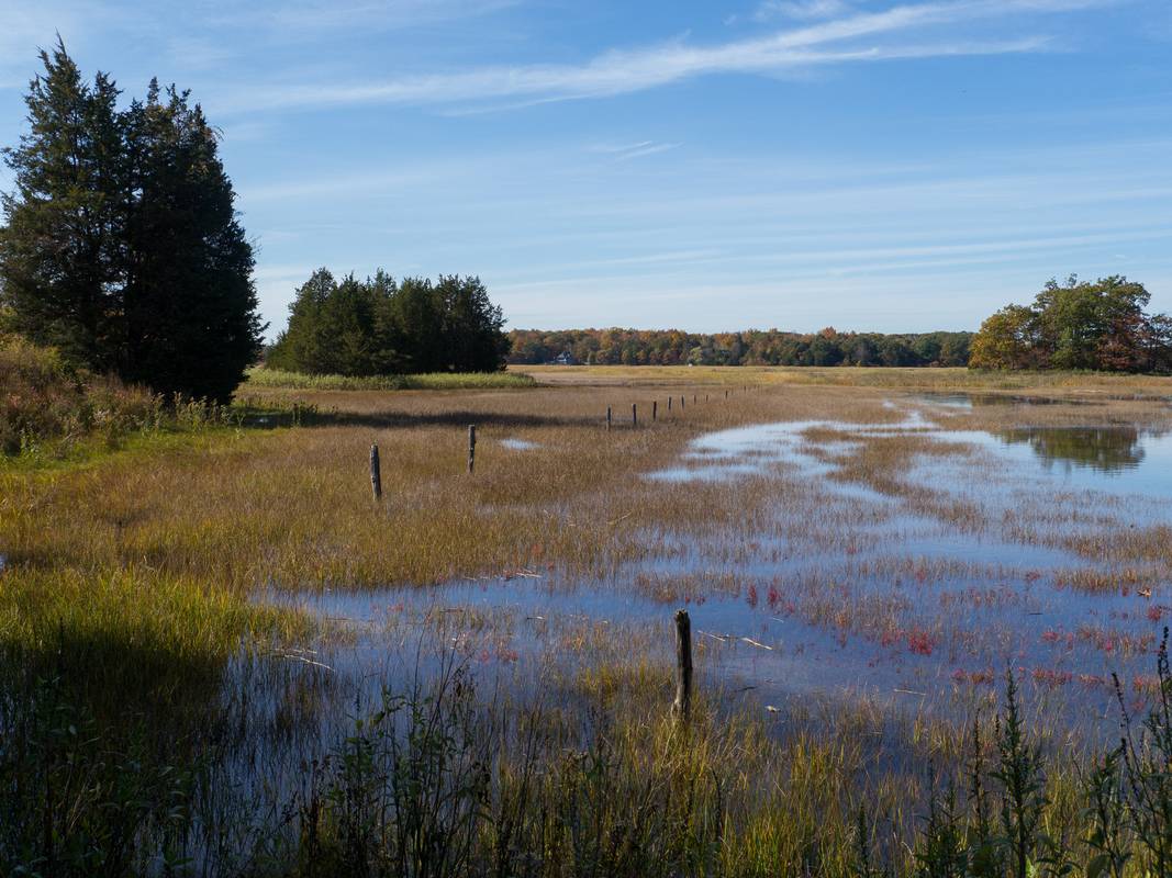 Oct. 17, 2012 - Old Town Hill (Trustees of Reservations), Newbury, Massachusetts.
