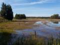 Oct. 17, 2012 - Old Town Hill (Trustees of Reservations), Newbury, Massachusetts.