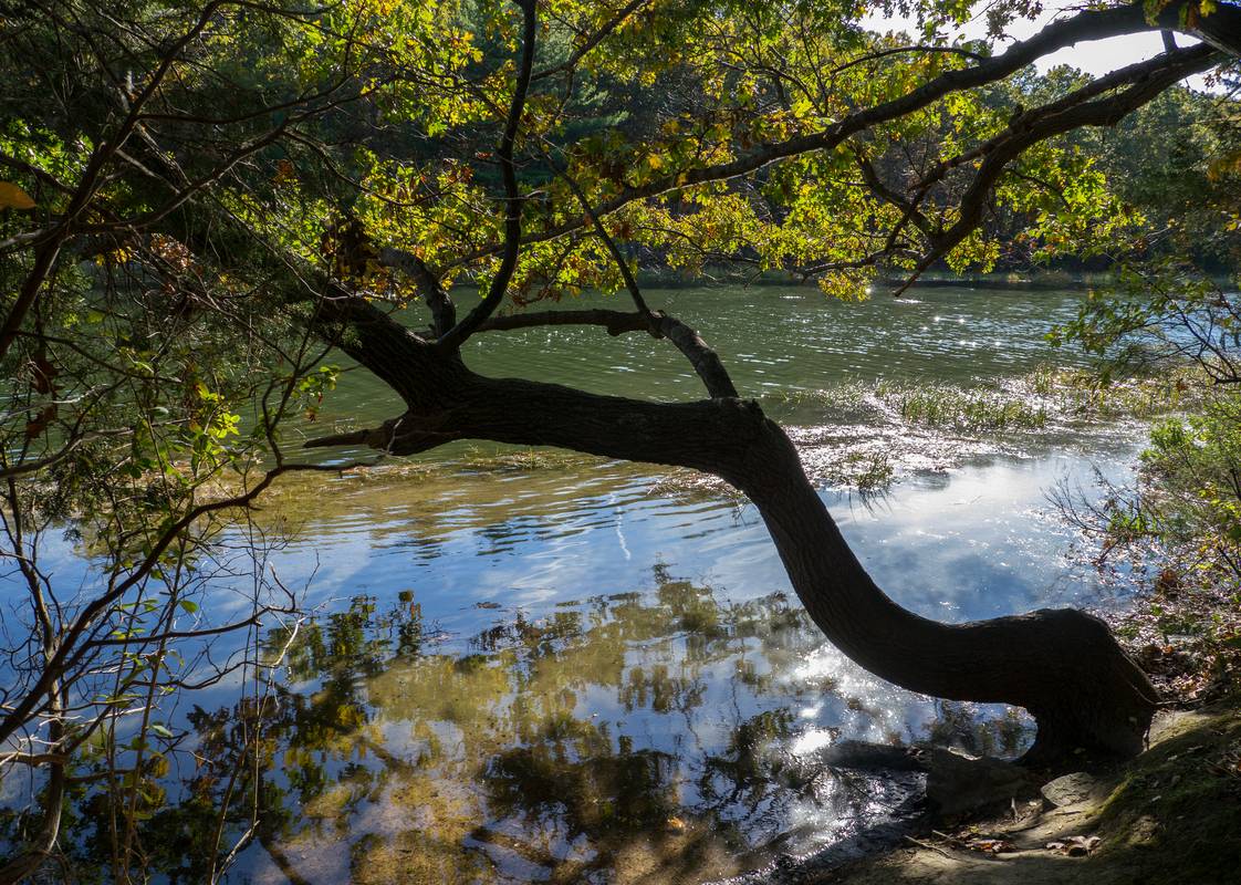 Along the Little River.<br />Oct. 17, 2012 - Old Town Hill (Trustees of Reservations), Newbury, Massachusetts.
