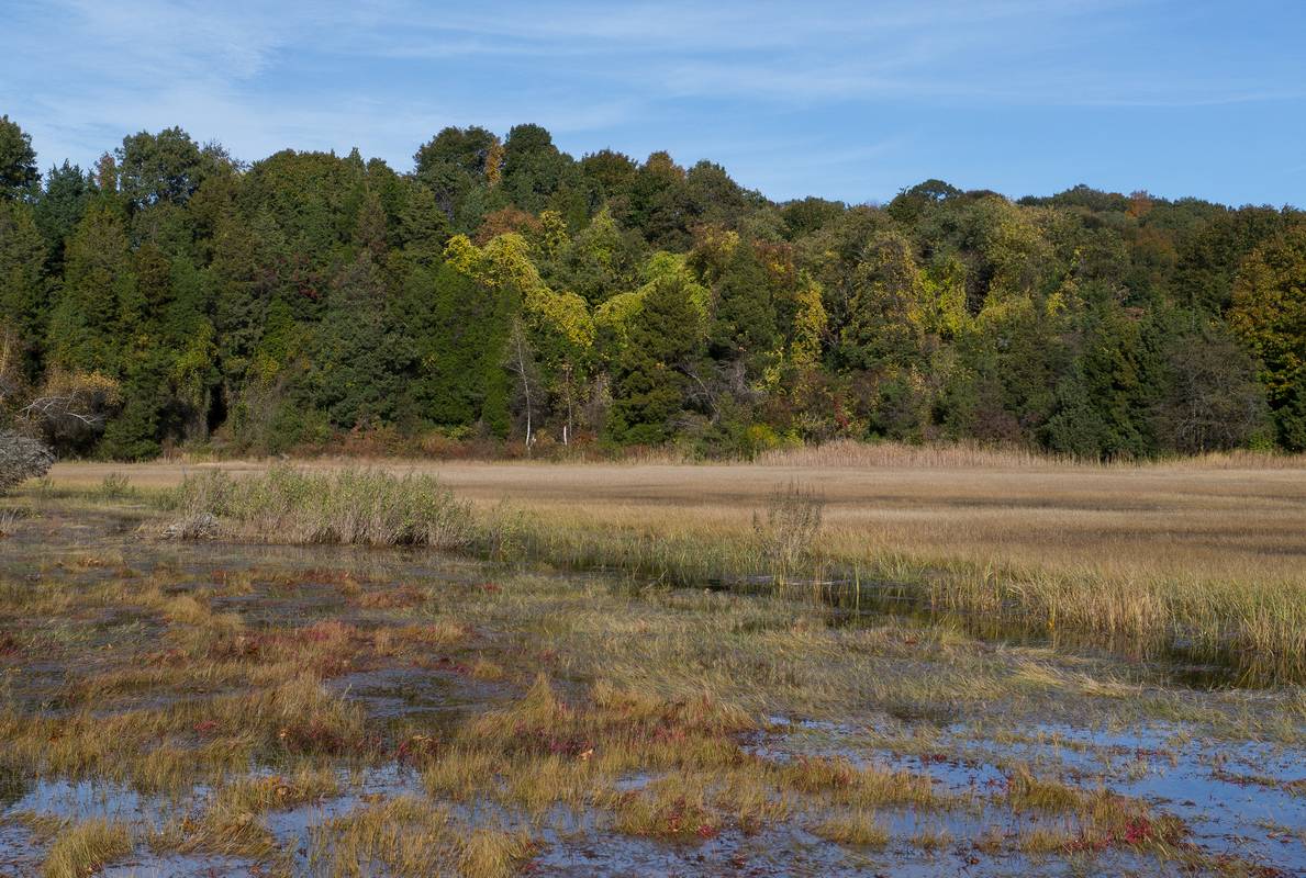 Along the Little River.<br />Oct. 17, 2012 - Old Town Hill (Trustees of Reservations), Newbury, Massachusetts.