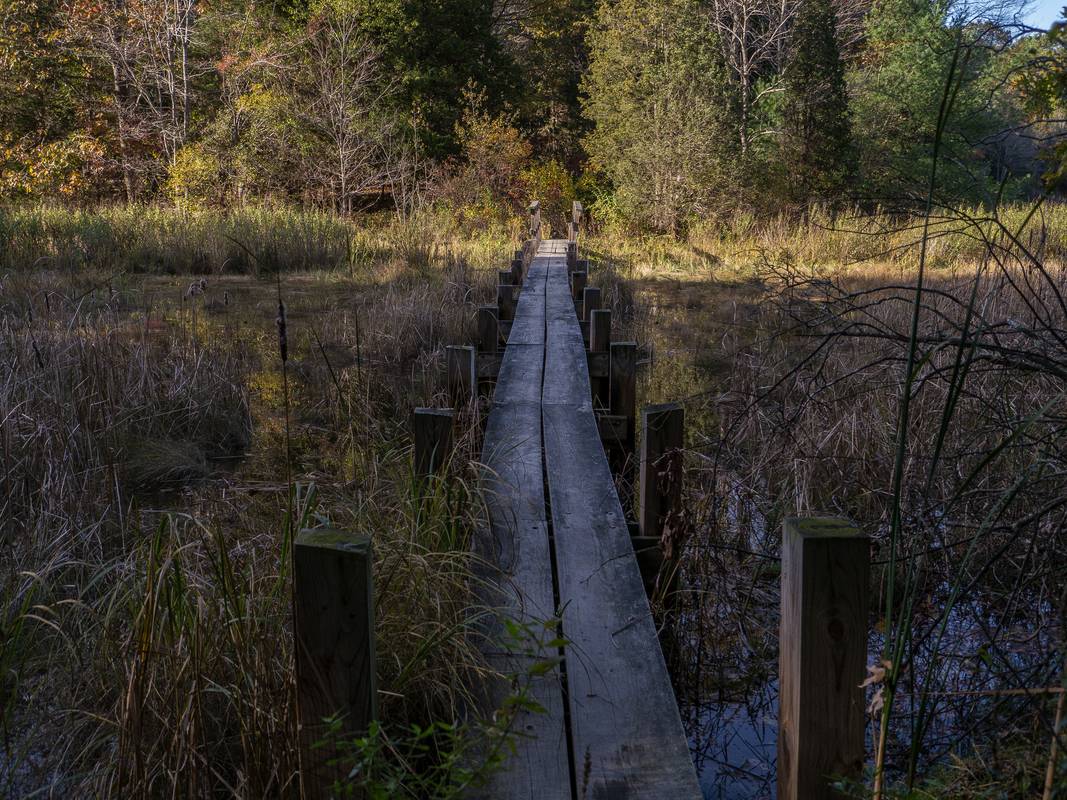Oct. 17, 2012 - Old Town Hill (Trustees of Reservations), Newbury, Massachusetts.