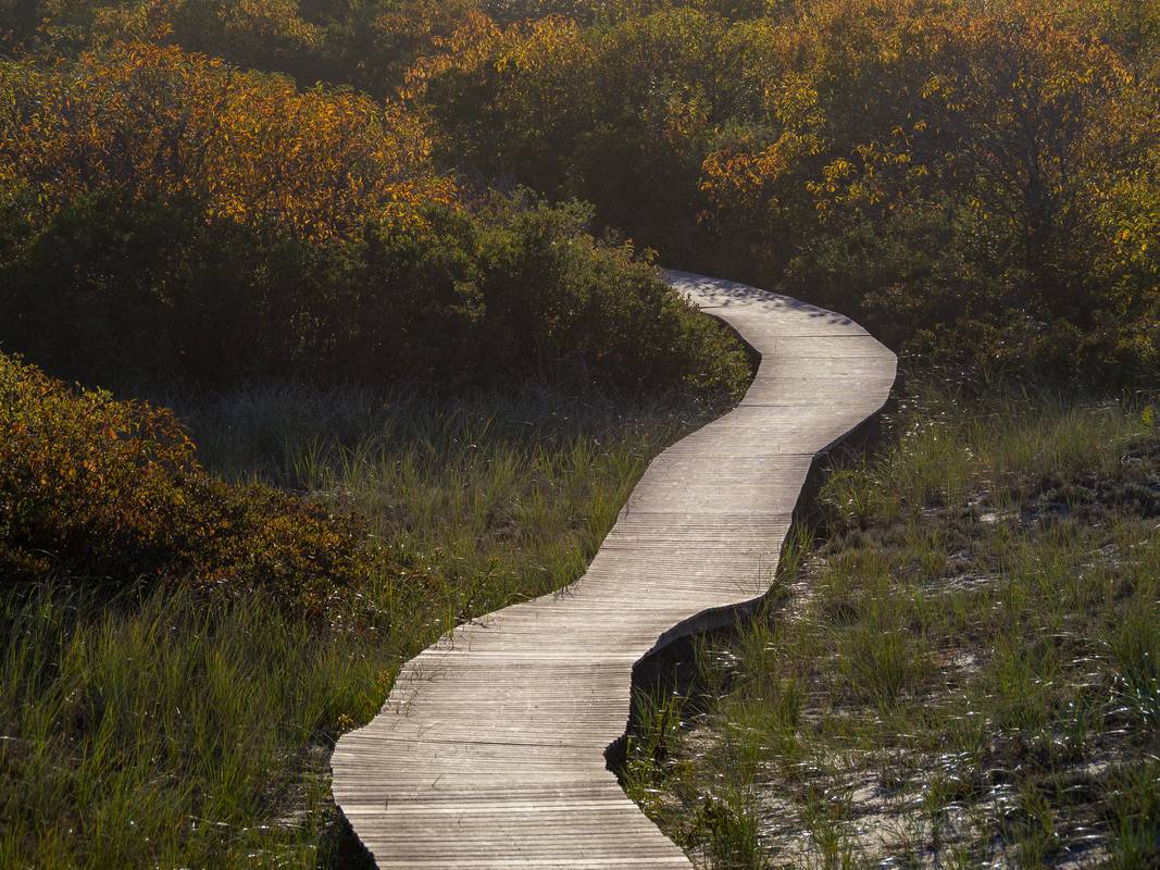 Boardwalk to parking lot # 6.<br />Oct. 18, 2012 - Parker River National Wildlife Refuge, Plum Island, Massachusetts.