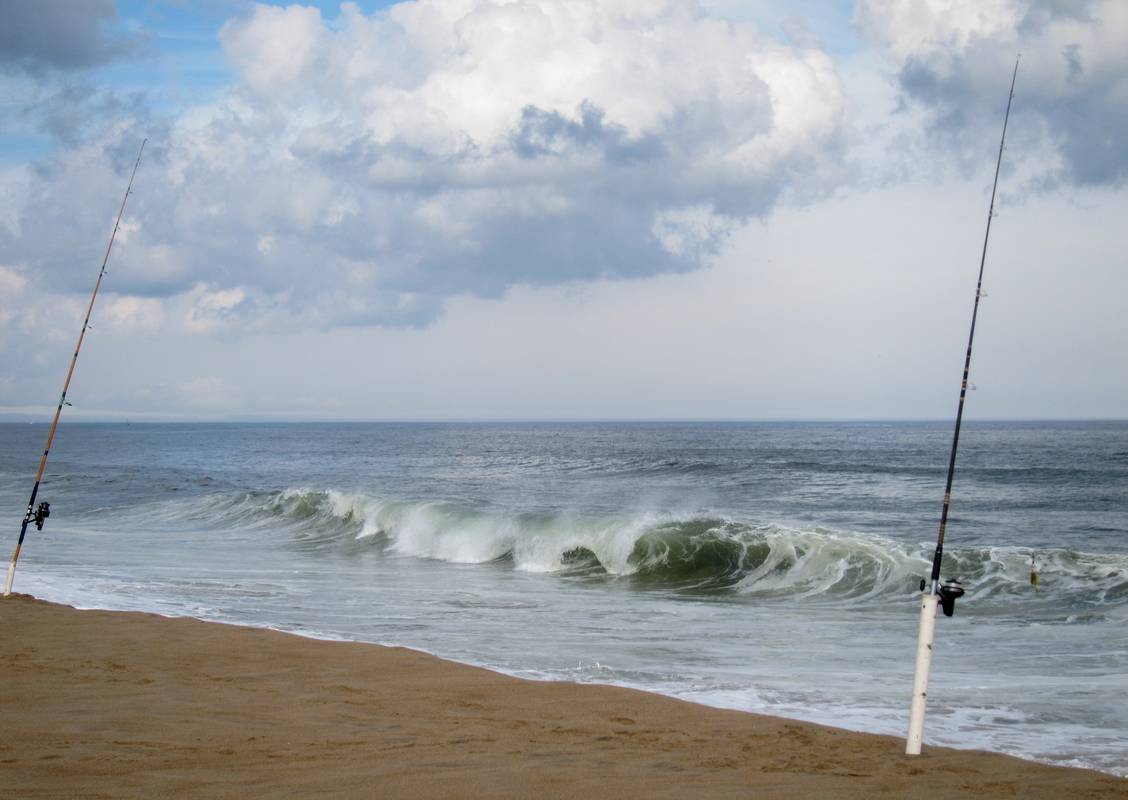 Oct. 20, 2012 - Parker River National Wildlife Refuge, Plum Island, Massachusetts.