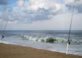 Oct. 20, 2012 - Parker River National Wildlife Refuge, Plum Island, Massachusetts.
