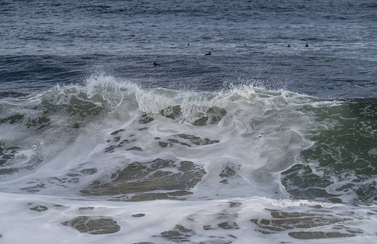 Oct. 20, 2012 - Parker River National Wildlife Refuge, Plum Island, Massachusetts.