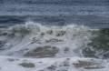 Oct. 20, 2012 - Parker River National Wildlife Refuge, Plum Island, Massachusetts.