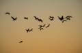 At sunrise off parking lot # 3.<br />Oct. 22, 2012 - Parker River National Wildlife Refuge, Plum Island, Massachusetts.