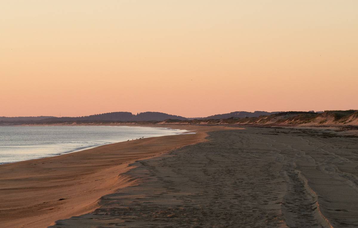 At sunrise off parking lot # 3.<br />Oct. 22, 2012 - Parker River National Wildlife Refuge, Plum Island, Massachusetts.