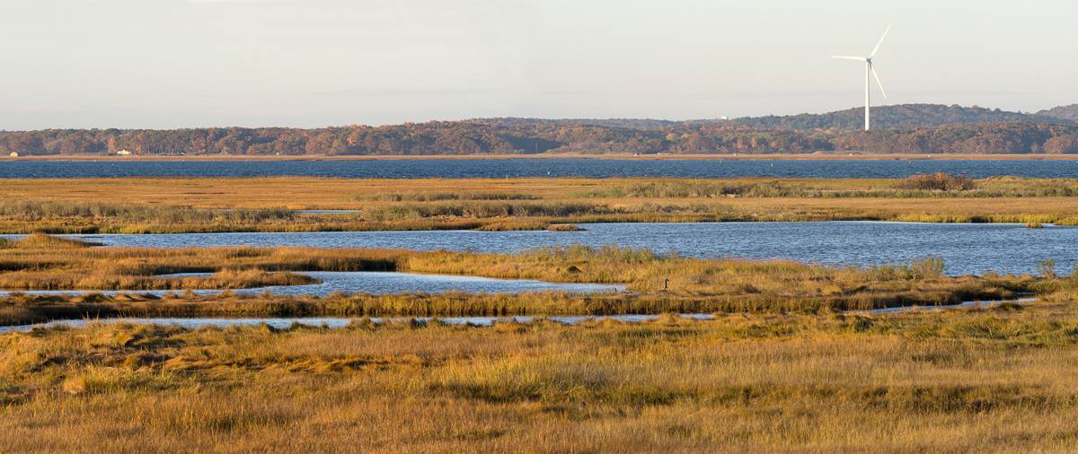 View from Pines Trail lookout platform.<br />Oct. 22, 2012 - Parker River National Wildlife Refuge, Plum Island, Massachusetts.
