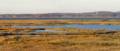 View from Pines Trail lookout platform.<br />Oct. 22, 2012 - Parker River National Wildlife Refuge, Plum Island, Massachusetts.