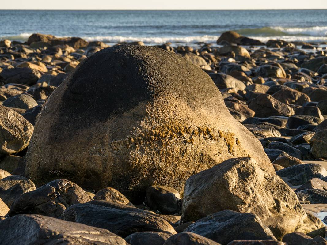 The rock in early morning light.<br />Oct. 22, 2012 - Sandy Point State Reservation, Plum Island, Massachusetts.