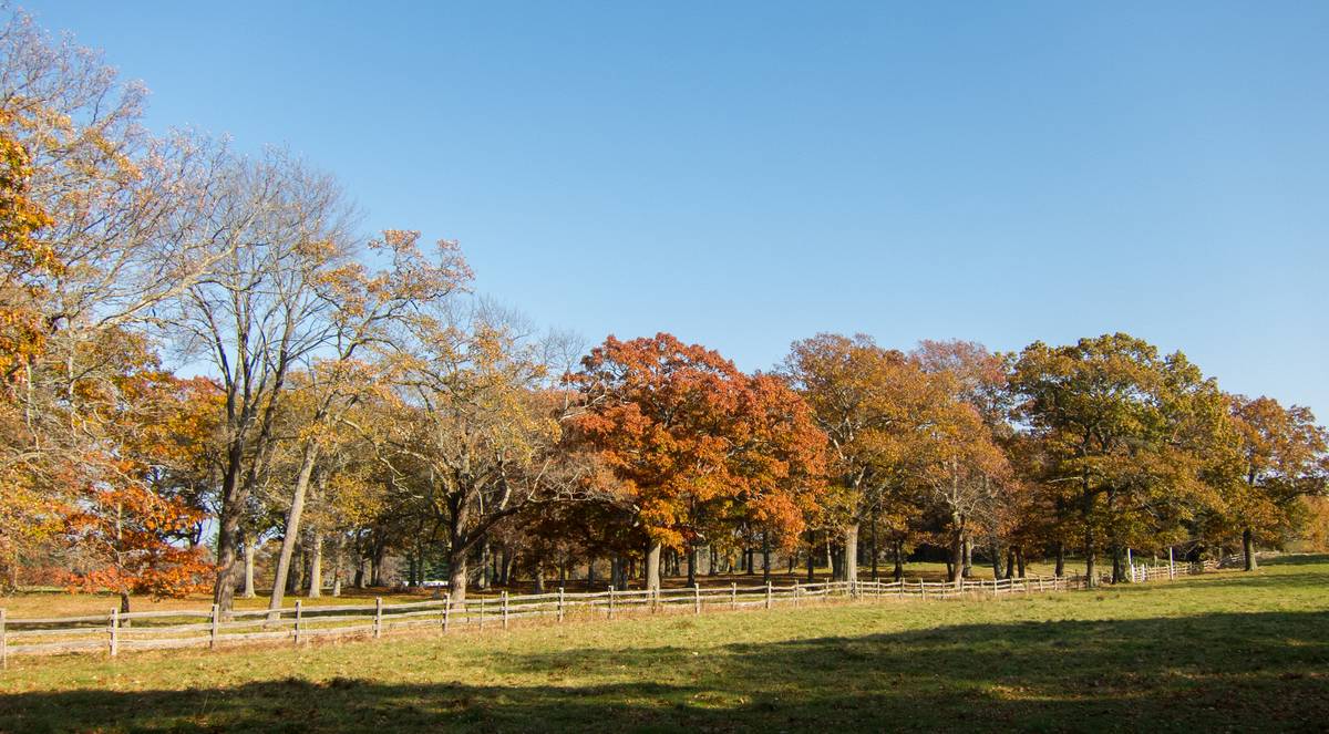 Oct. 26, 2012 - Appleton Farms, Ipswich, Massachusetts.