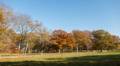 Oct. 26, 2012 - Appleton Farms, Ipswich, Massachusetts.