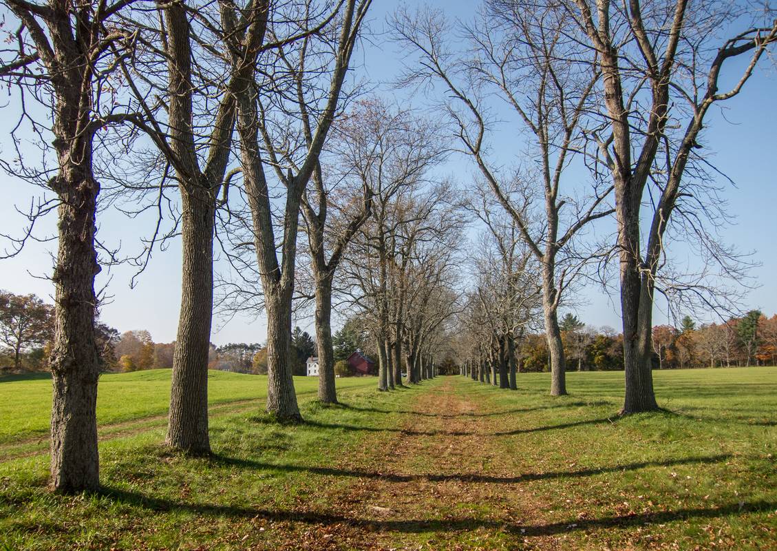 Oct. 26, 2012 - Appleton Farms, Ipswich, Massachusetts.