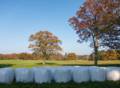 Oct. 26, 2012 - Appleton Farms, Ipswich, Massachusetts.