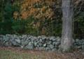 Oct. 26, 2012 - Appleton Farms, Ipswich, Massachusetts.